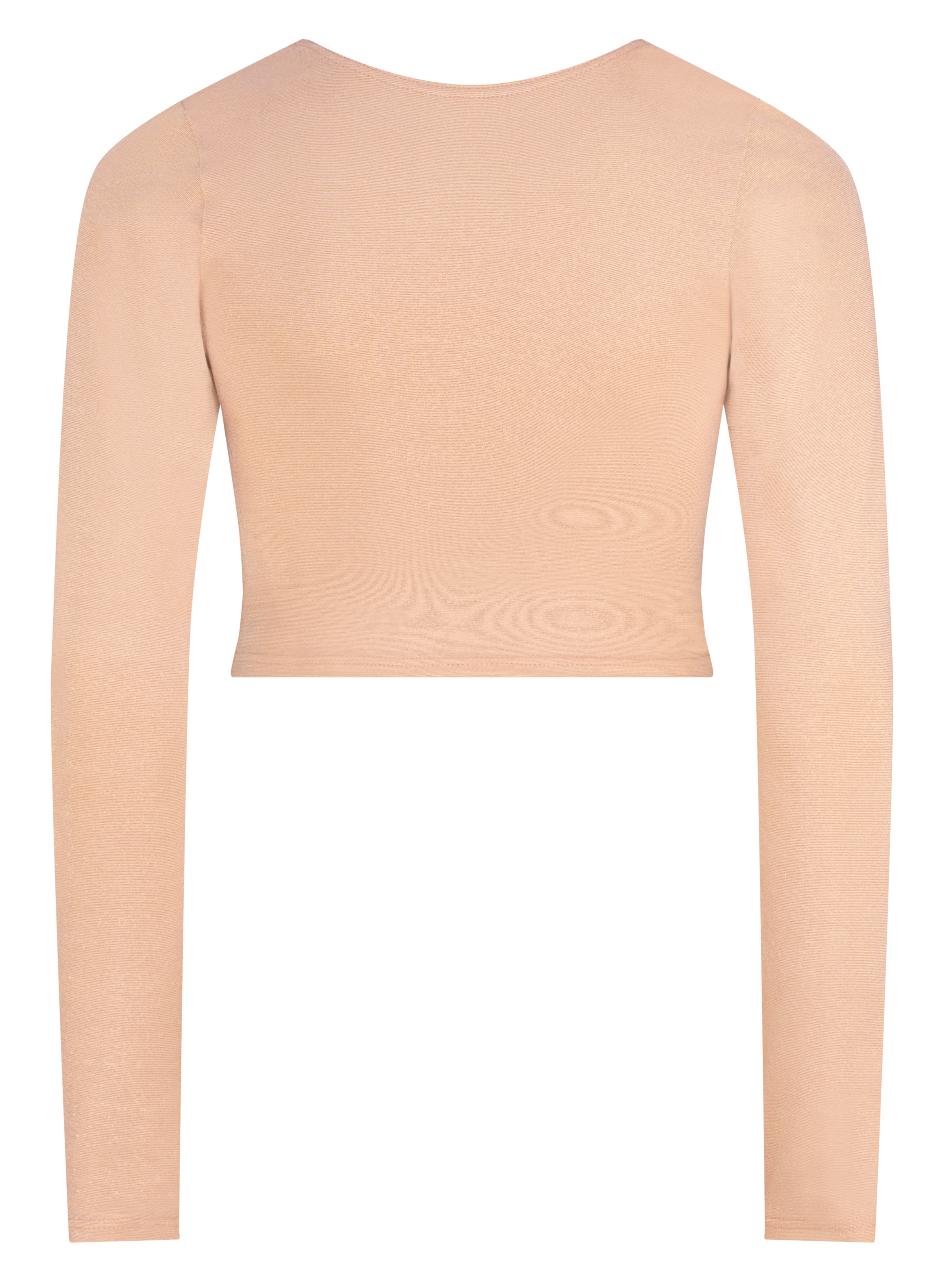 Shimmer Long Sleeved Crop